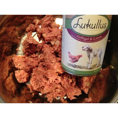 Lukullus Lamm