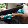 Liebe auf den erstem Happs