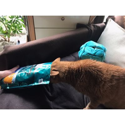 Liebe auf den erstem Happs
