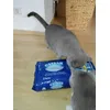 Catsan smart pack