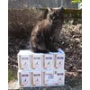 Gorbi ist dank Royal Canin wieder fit