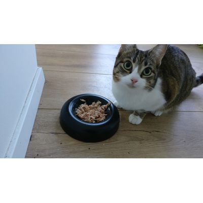 Tifa mit Cosma Original Thunfisch