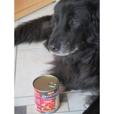 Mach auf das Ding
