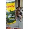 Alfred und sein Lieblingsfutter