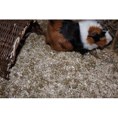 Pellets im Einstreu