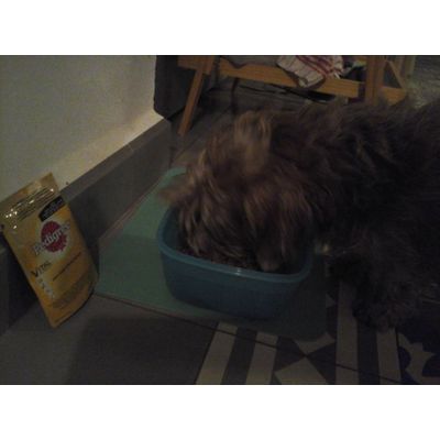 Urmel hat Hunger