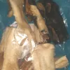 dogs like it