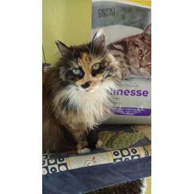 kleine Feinschmecker