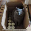 Wenn der Postbote klingelt Kommt ein Zooplus Paket