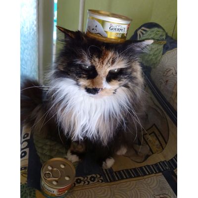 eine Prinzessin
