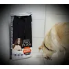 Mein Hundesenior