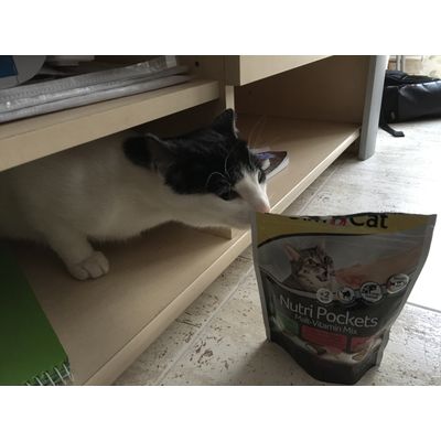 Mishka