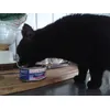 Bevor Frauchen guckt hab ich die Dose leer