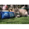 Gartenkatze