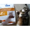 Luna und ihr Urinary Care