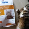 Luna und ihr Urinary Care