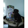 Sheela 9 Jahre alt