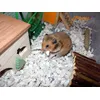 Este papel es muy comodo