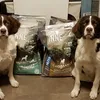 Jarno and Joppe with their favorite kibble