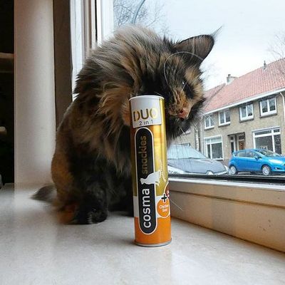 Cosma Snackies Gewinnspiel