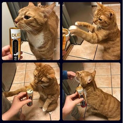 Cosma Snackies Gewinnspiel