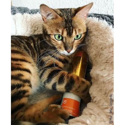 Cosma Snackies Gewinnspiel