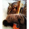 Cosma Snackies Gewinnspiel