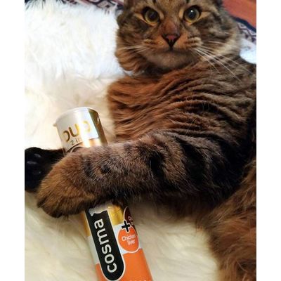 Cosma Snackies Gewinnspiel
