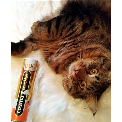 Cosma Snackies Gewinnspiel