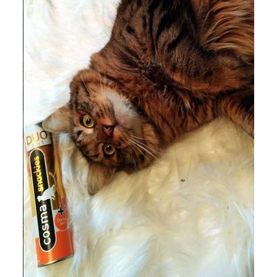 Cosma Snackies Gewinnspiel
