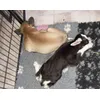 ully und Ziegenkind