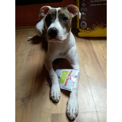 Candy