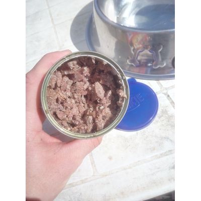 Pure Beef