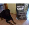Taste of the wild