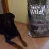 Taste of the wild