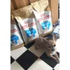 Beta og Royal Canin