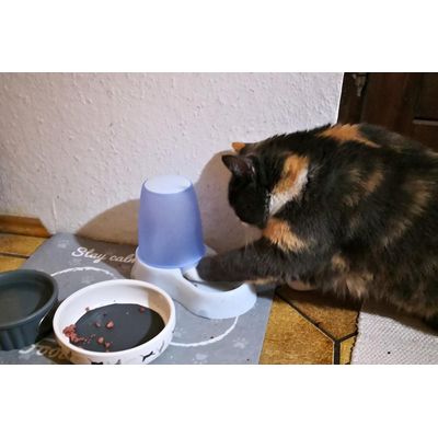 Selbstbedienung