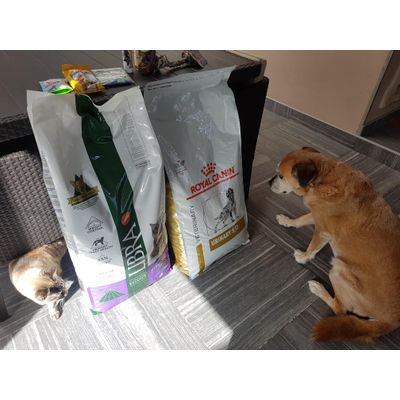 Adoramos a nossa comida