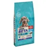 Puppy large breed 