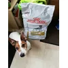 Diesel ook weer blij