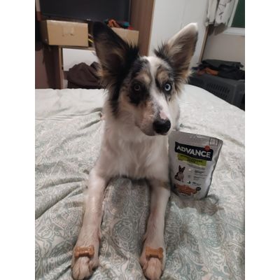 Aura esperando a comerse los snacks