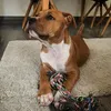 Playing