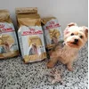 Bency bij zijn bestelling met cadeautje