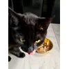 Yum