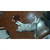 Azura con su inseparable peluche