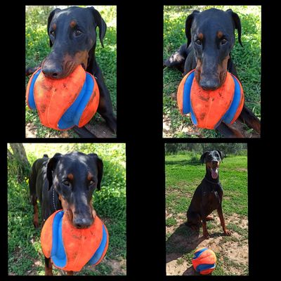 Super Ball