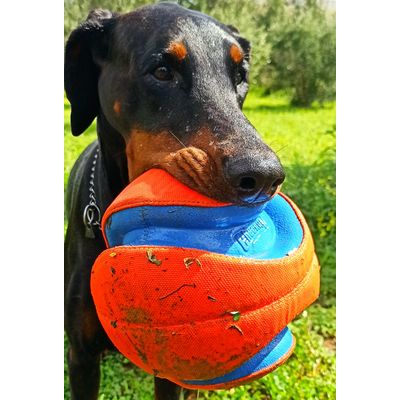 Super Ball