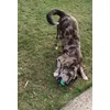 Pablo 2 ans 