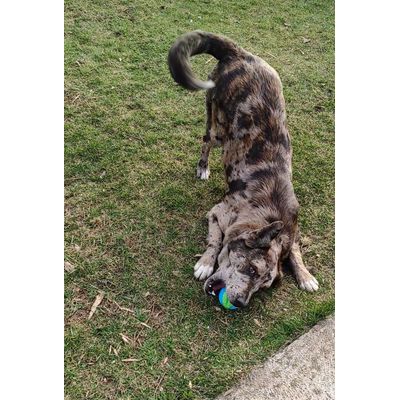 Pablo 2 ans