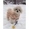 Zuzu